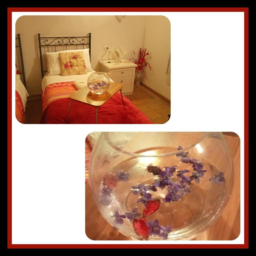 Bed and Breakfast Felix House à Codevilla Extérieur photo